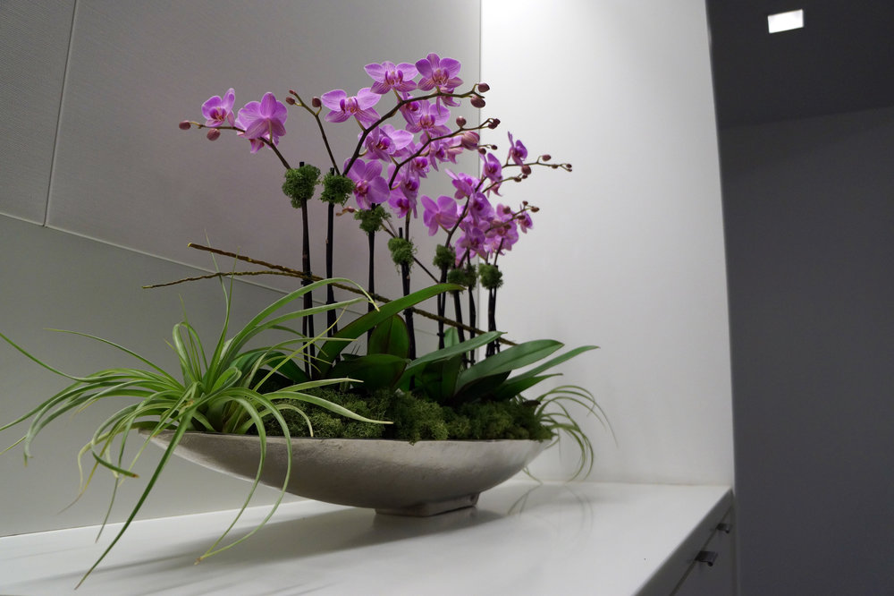 Орхидеи в интерьере: 23 фото